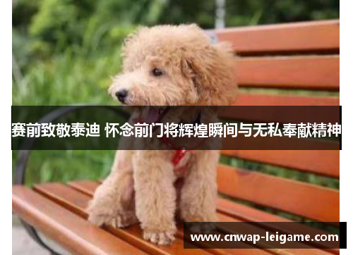 赛前致敬泰迪 怀念前门将辉煌瞬间与无私奉献精神 赛前致敬泰迪 怀念前门将辉煌瞬间与无私奉献精神