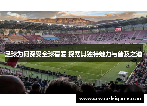 足球为何深受全球喜爱 探索其独特魅力与普及之道 足球为何深受全球喜爱 探索其独特魅力与普及之道