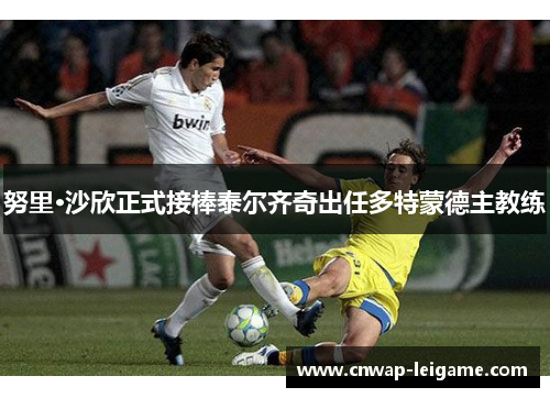 努里·沙欣正式接棒泰尔齐奇出任多特蒙德主教练